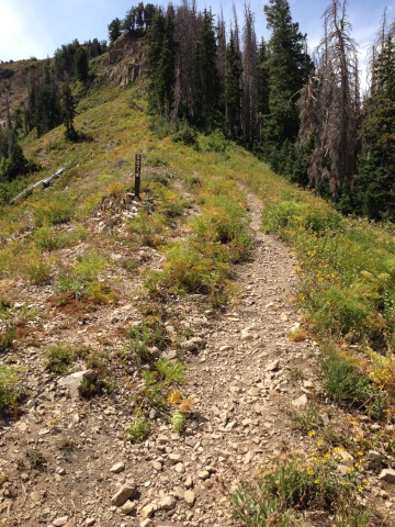 Take the more prominent trail on the right at the saddle, unless you want to feel at one with the mountain goats.